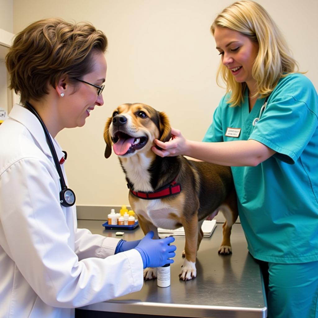 High Desert Humane Society Providing Veterinary Care