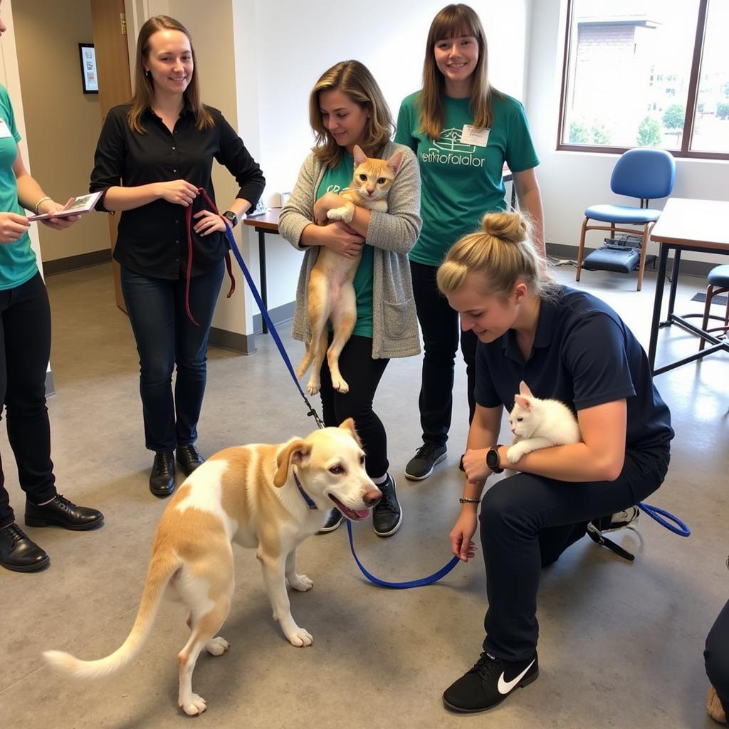 Volunteers at High Plateau Humane Society