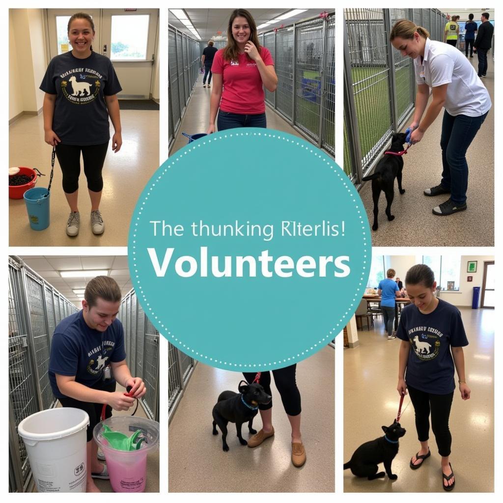 Humane Society of the Nature Coast Volunteers