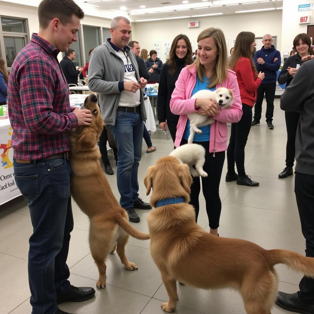 Humane Society Adoption Event Connecting Animals with Families