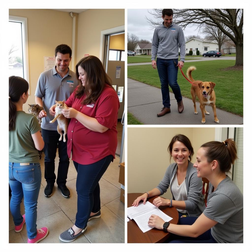 Humane Society Beaumont Adoption Process