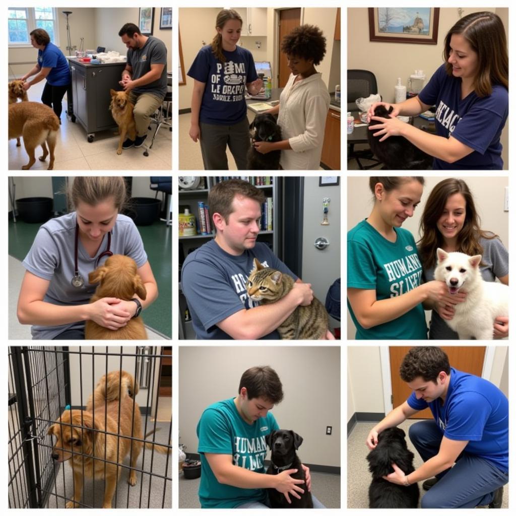 Humane Society of Blue Ridge Georgia Volunteers