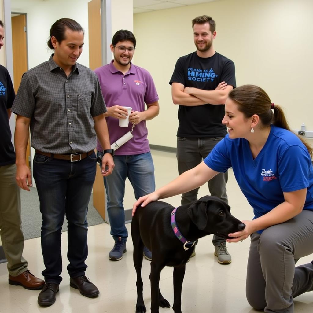 Humane Society Brookings South Dakota Volunteer Training