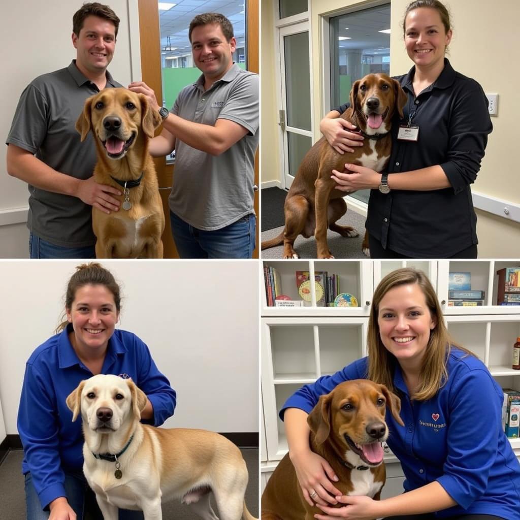 Volunteers at the Humane Society Catawba County