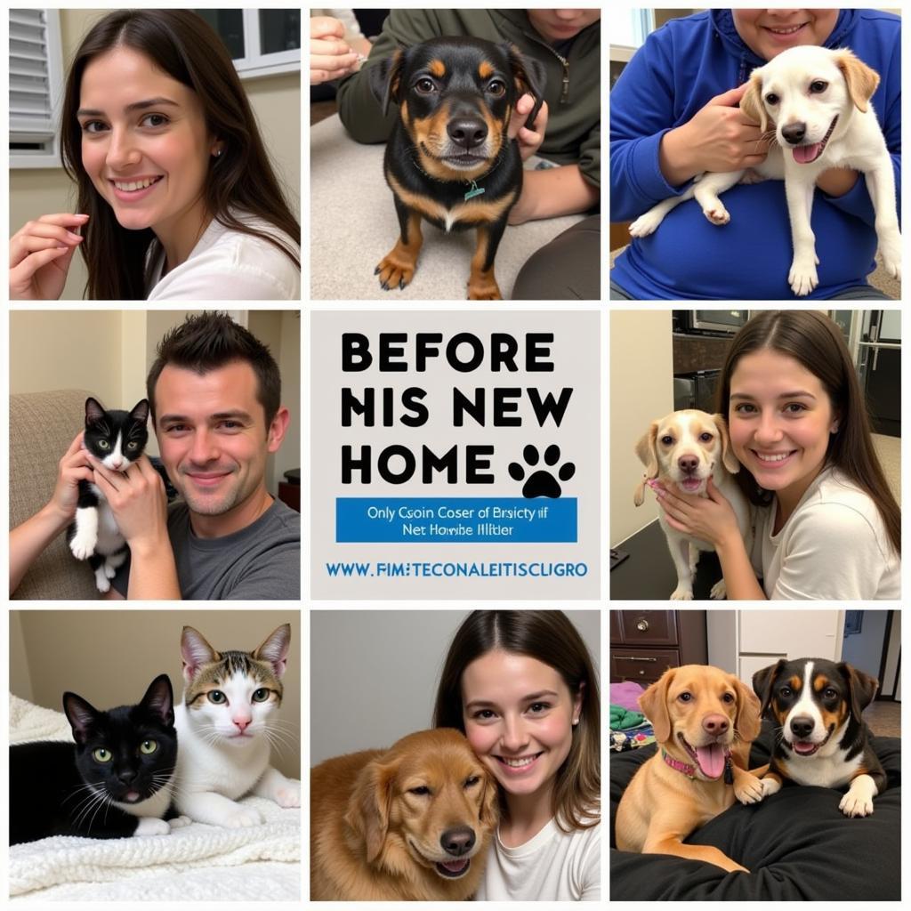 Happy adopted pets from the Humane Society