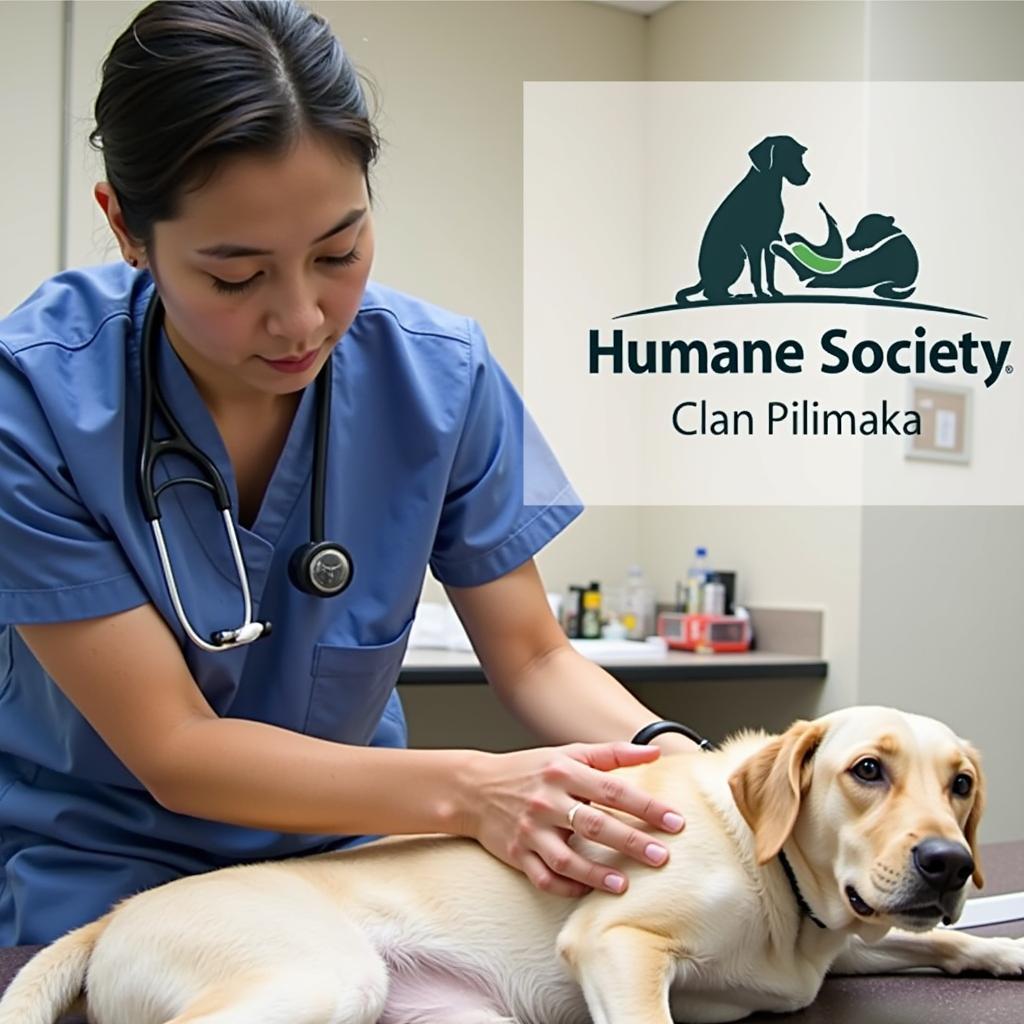 Veterinary Care at Humane Society Columbus MS