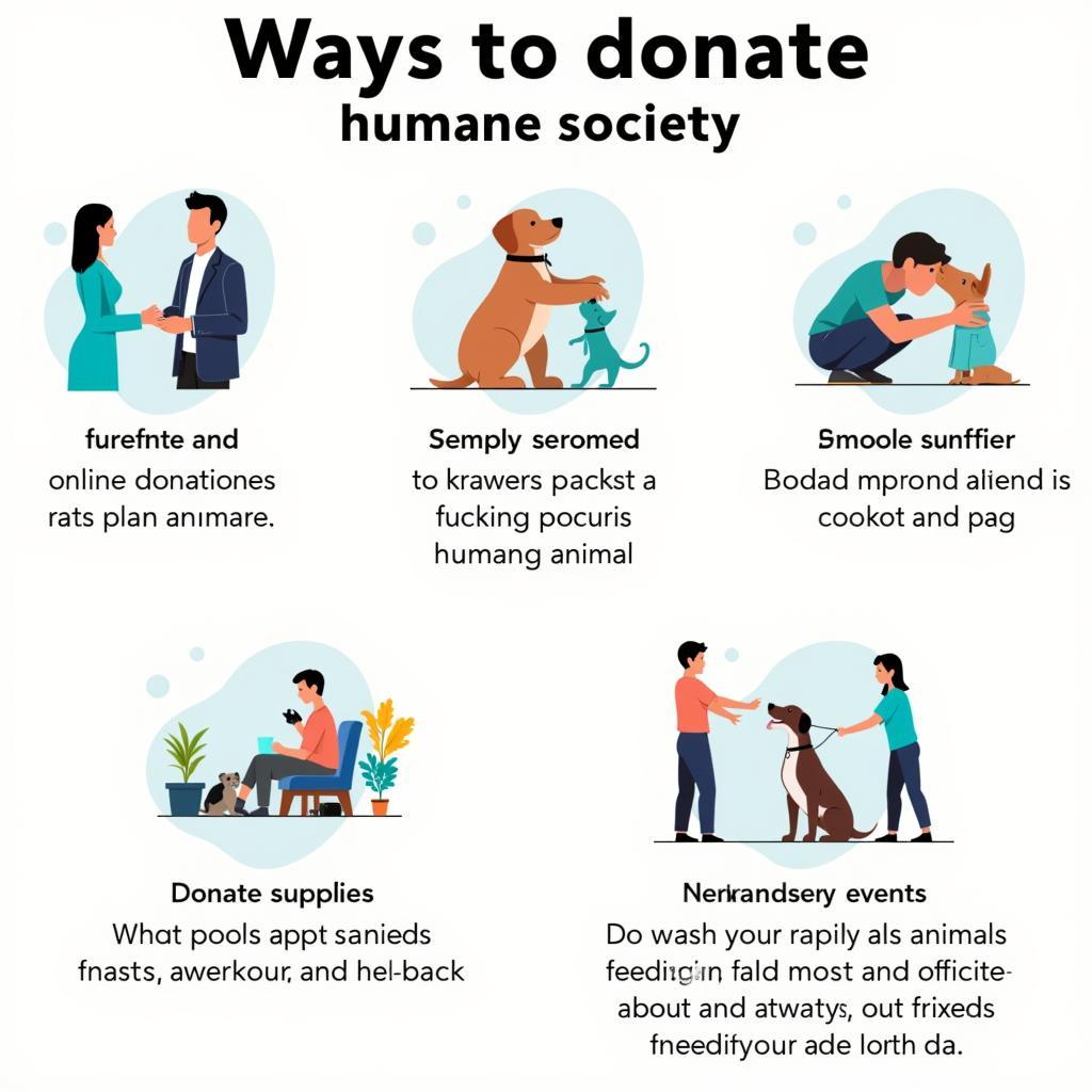 Donating to Support Animals on Humane Society Day