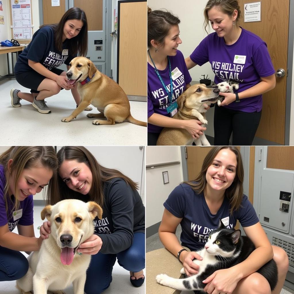 Volunteers at the Humane Society Daytona Beach FL