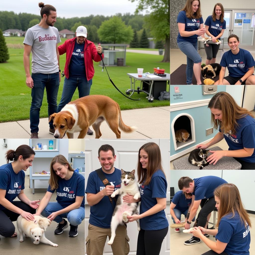 Humane Society Eau Claire Volunteers