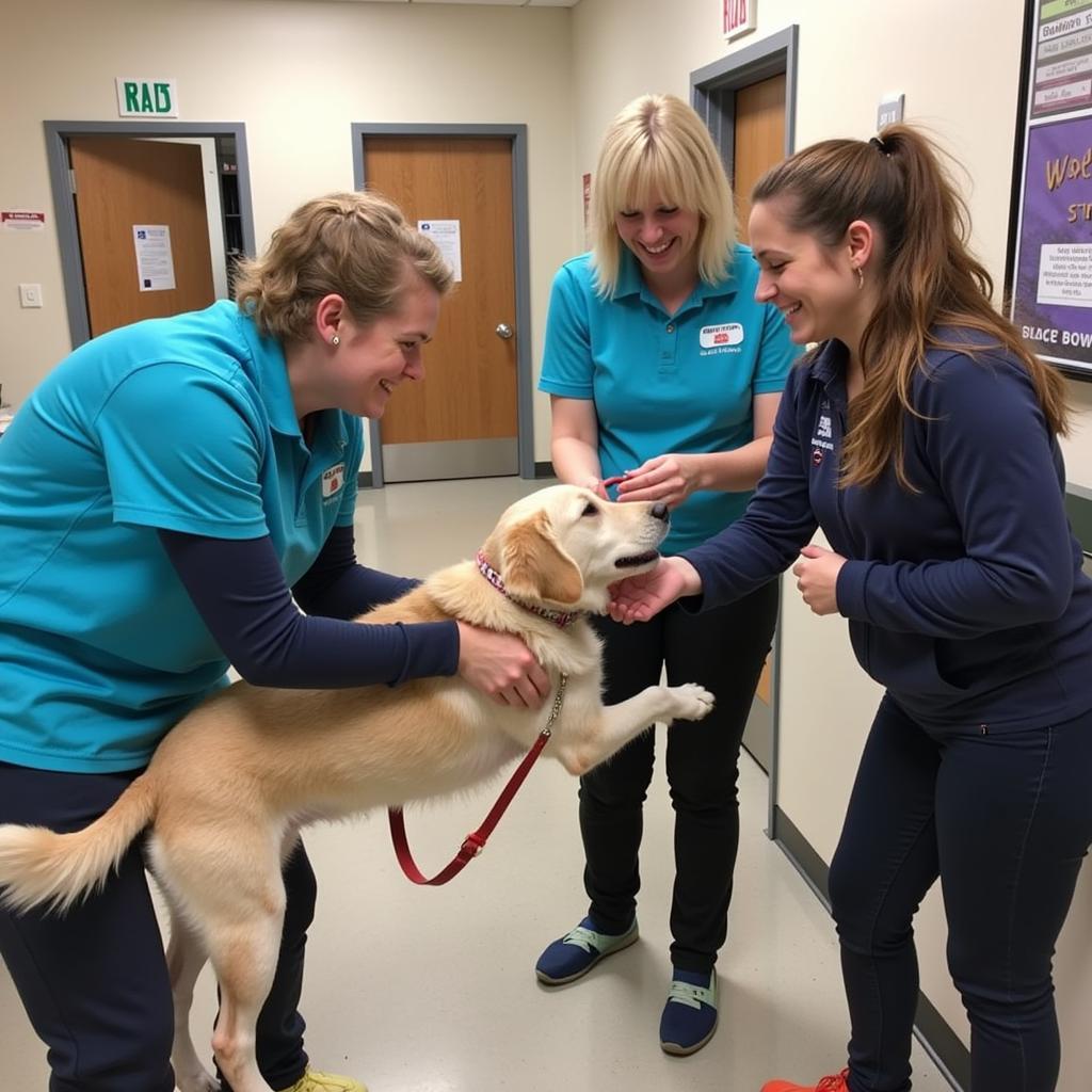 Volunteers at the Humane Society