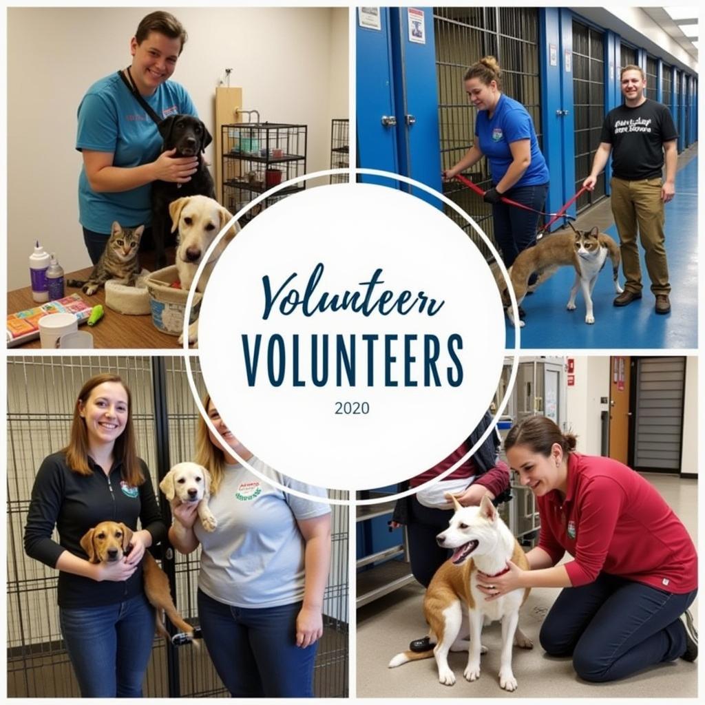 Volunteers at the Humane Society of Harrisburg Area Inc