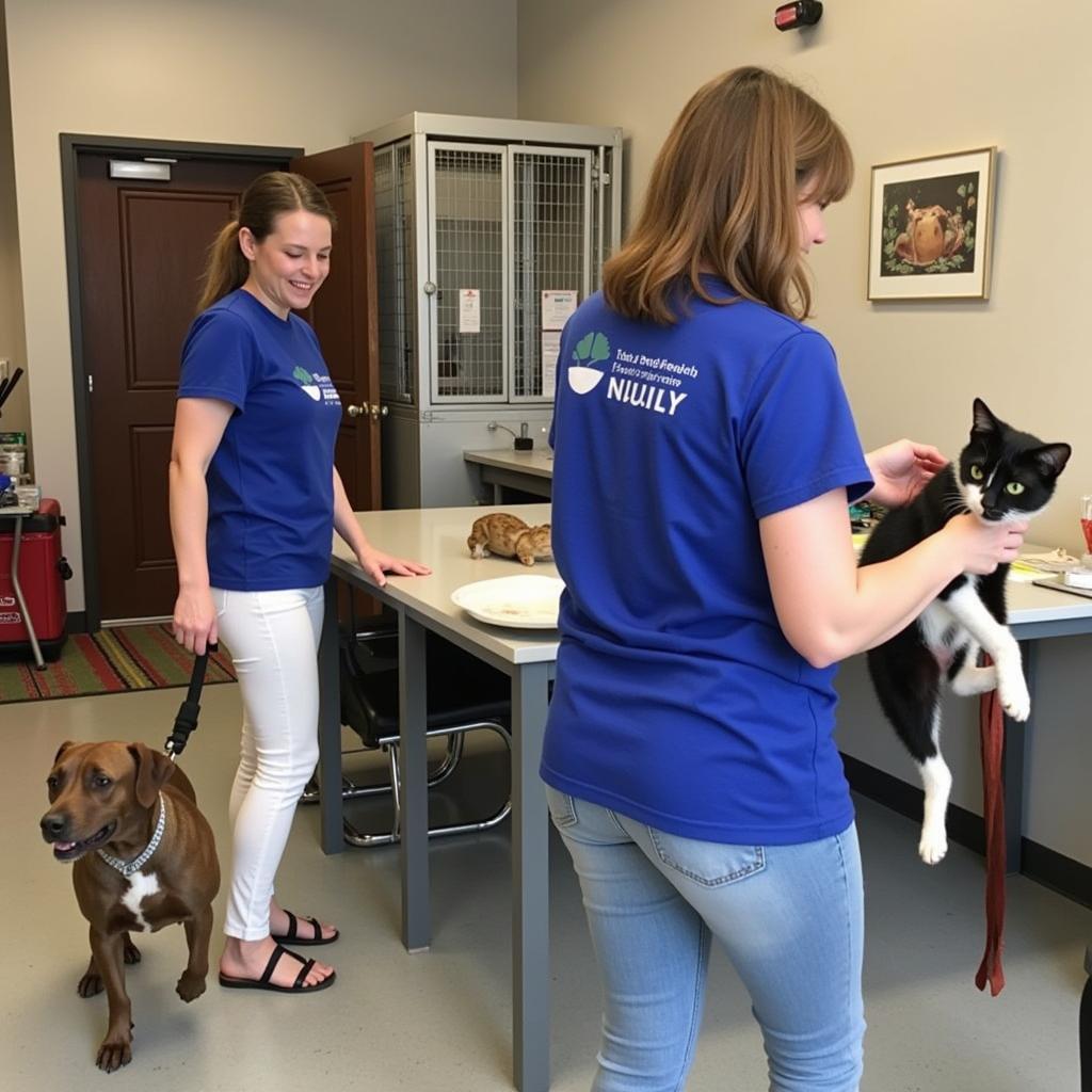 Volunteers at Humane Society of Hopewell