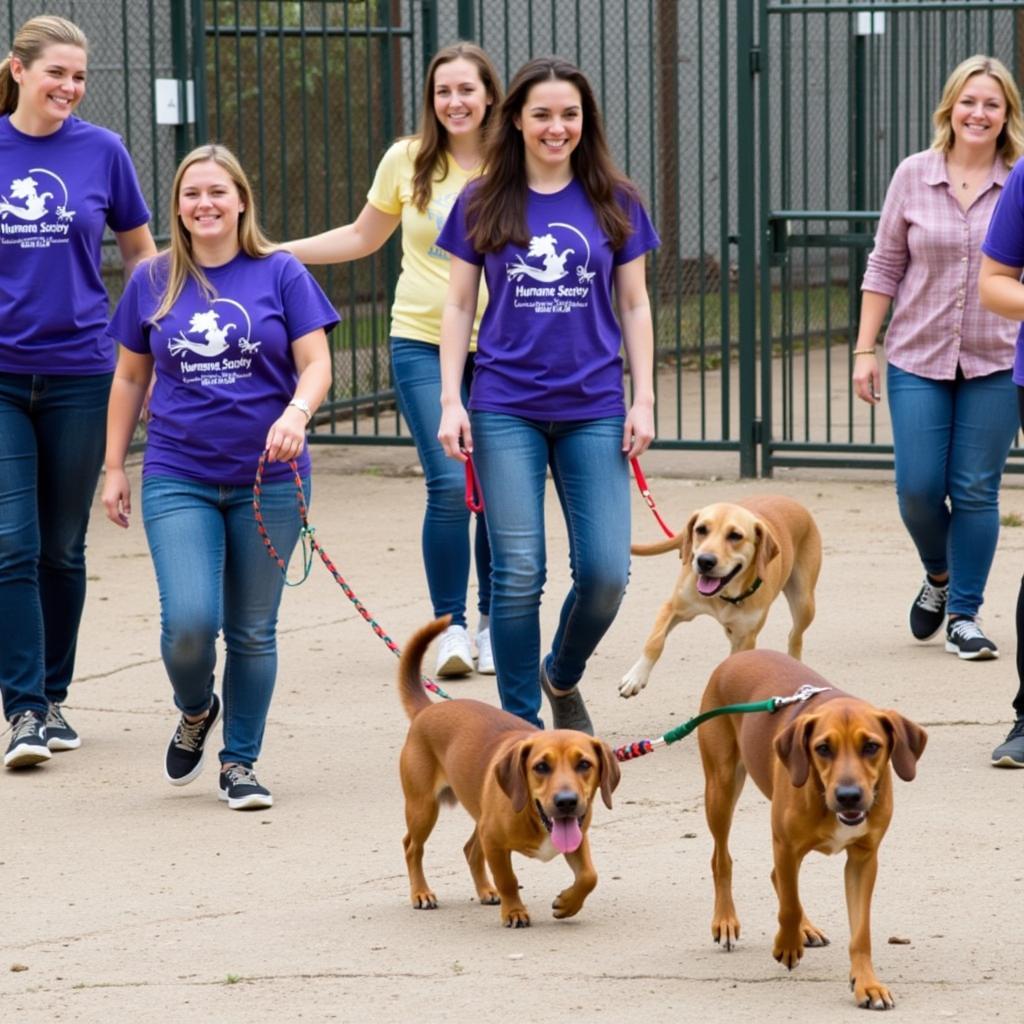 Humane Society Johnson County Volunteers