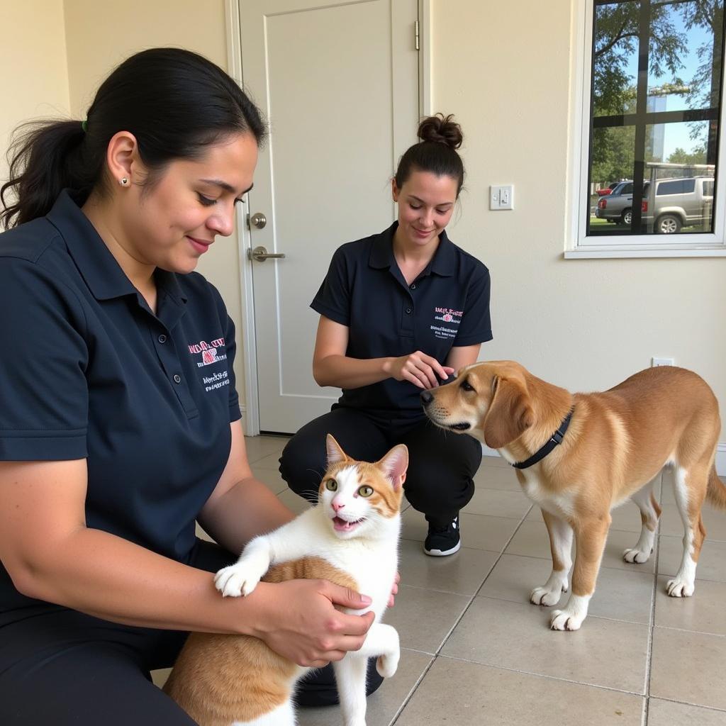 Volunteers Caring for Animals at Humane Society Lakewood Ranch