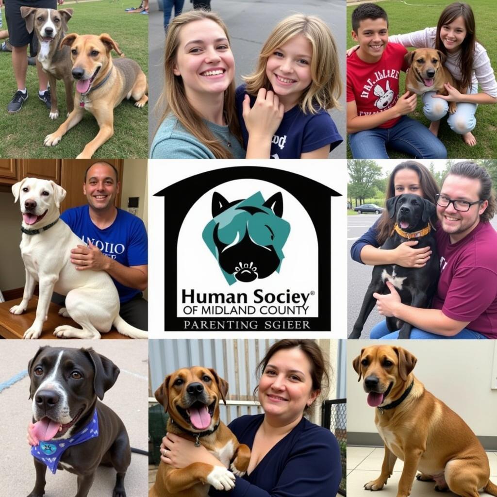 Adopted Pets from Humane Society of Midland County