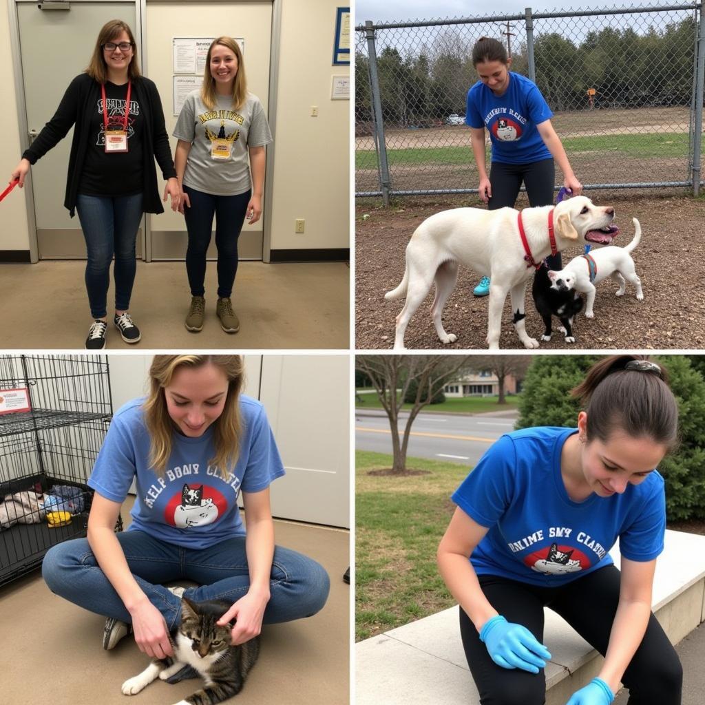 Volunteers at the Humane Society of Midland County