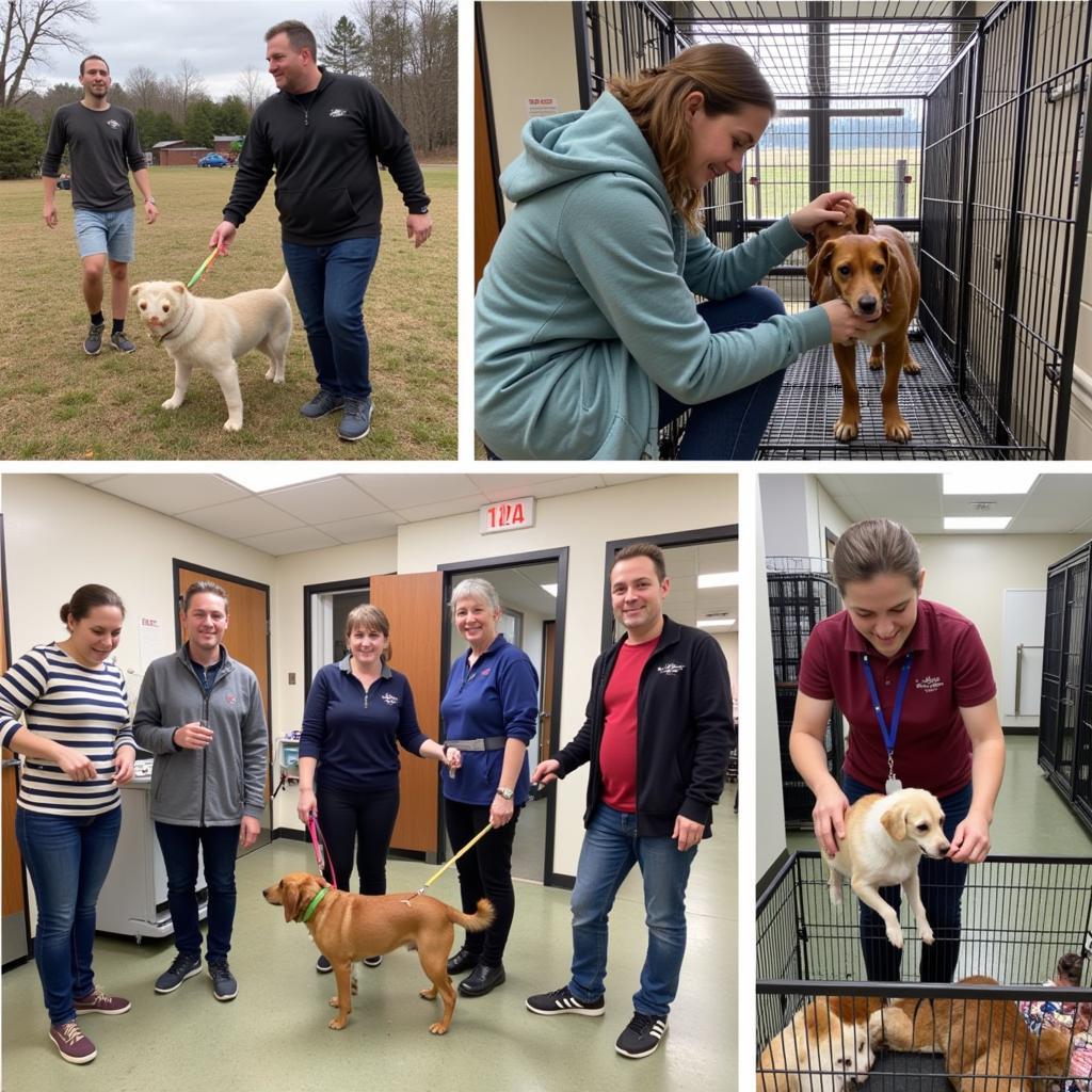 Volunteers at the Humane Society of Monroe County