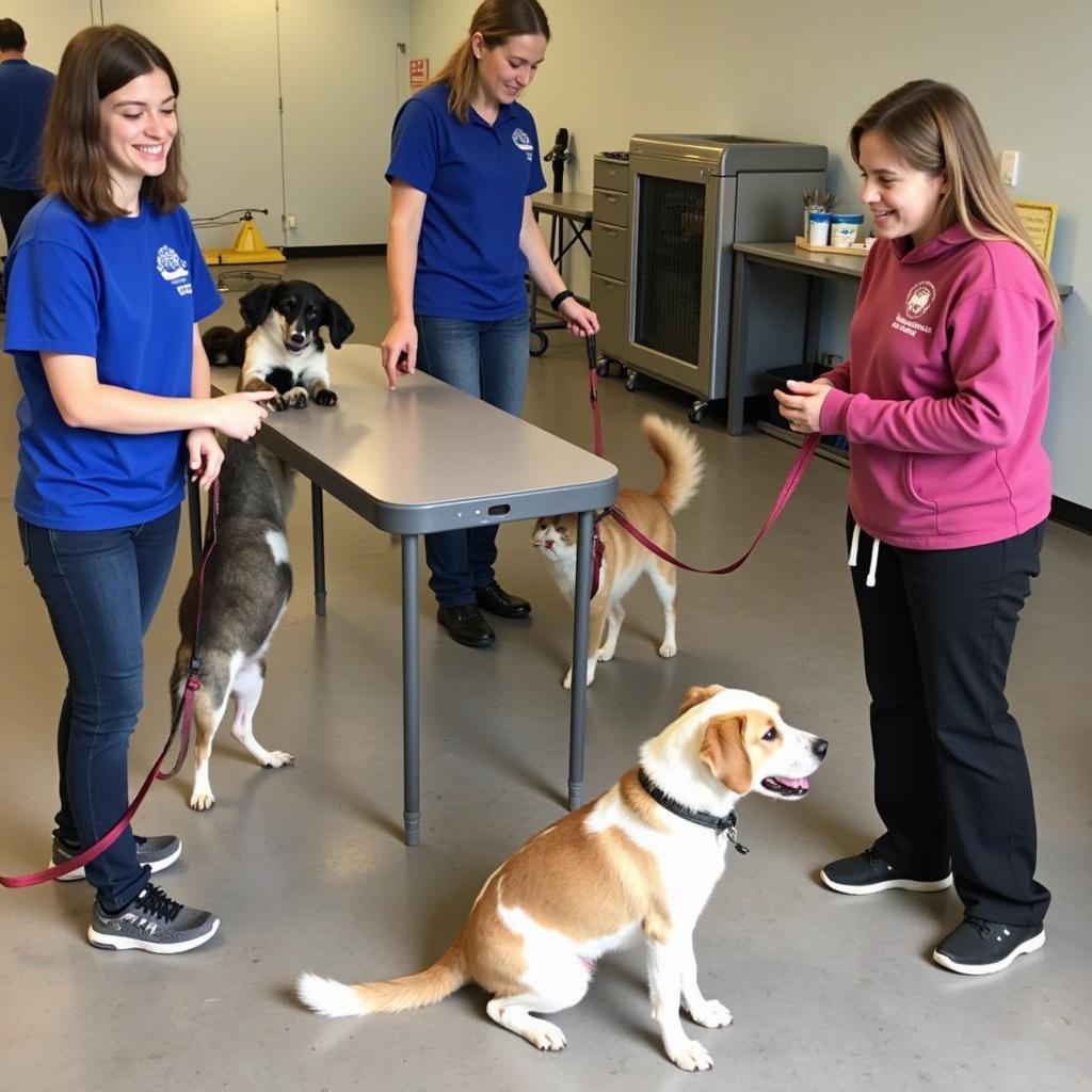 Volunteers at the Humane Society in Morgantown WV