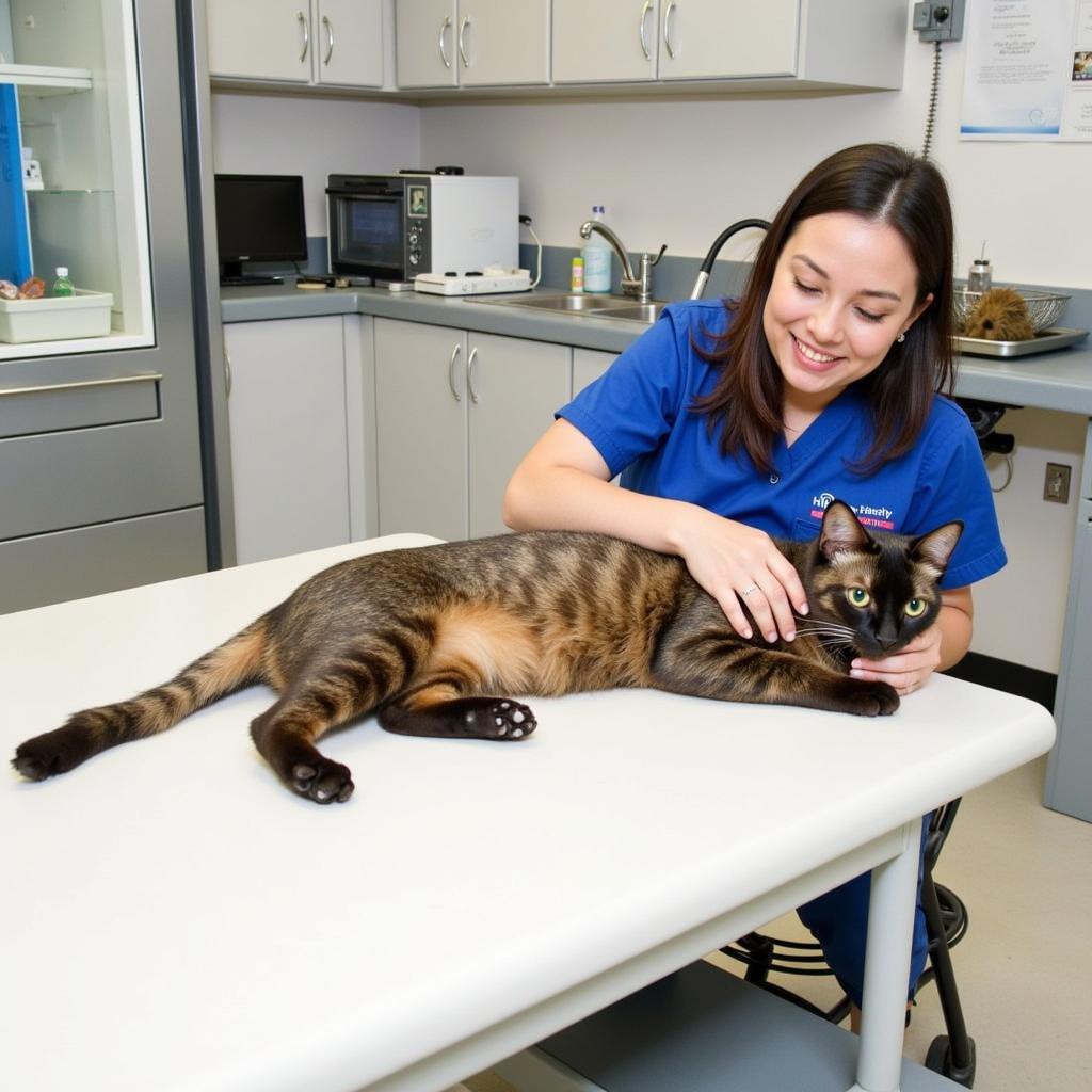 Humane Society Naples FL Veterinary Clinic