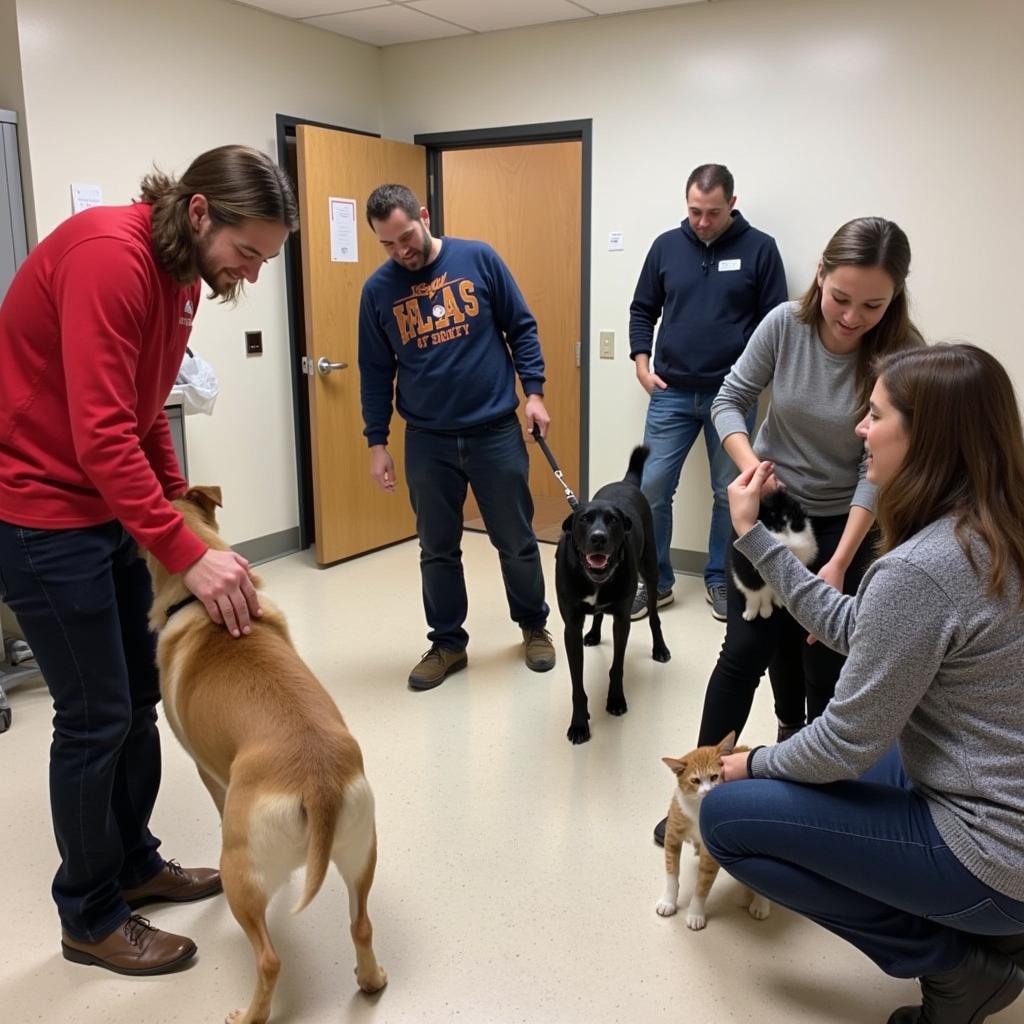 Humane Society New York Volunteering