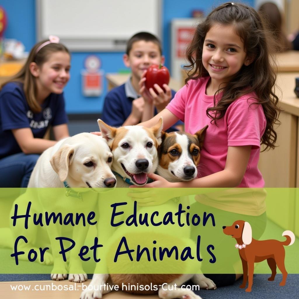 Humane Society North Miami Beach Educational Programs