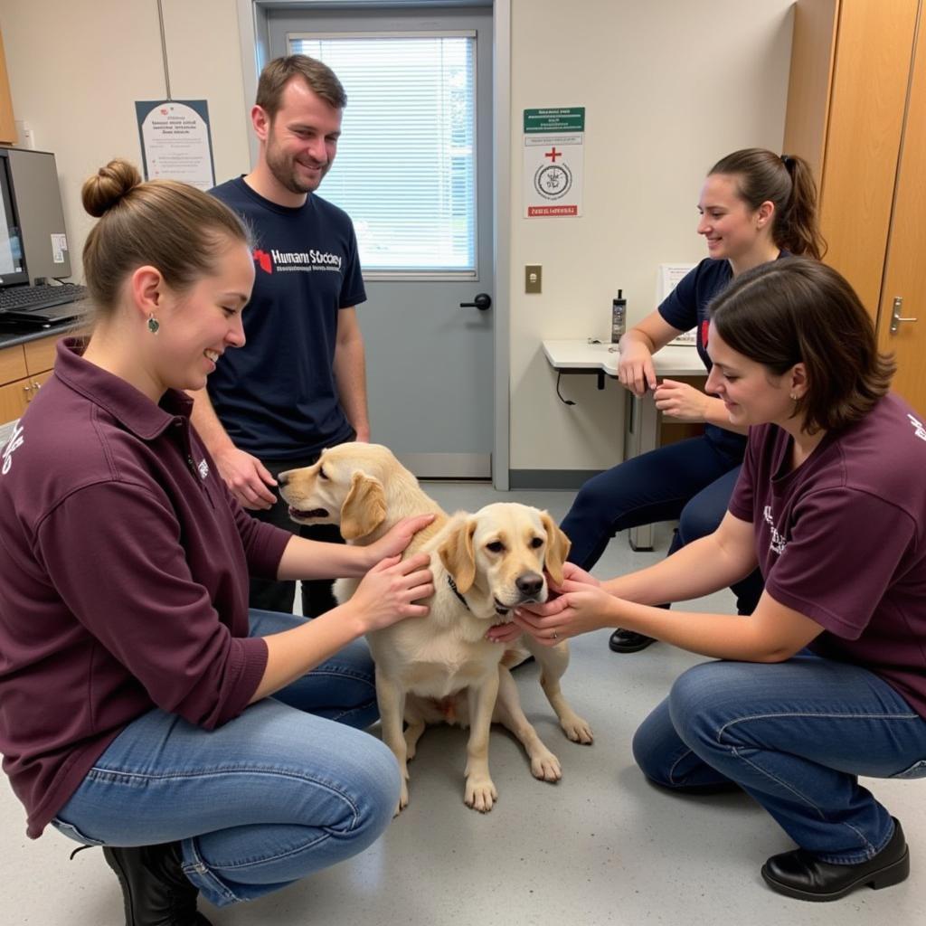 Humane Society of Northwest Indiana Volunteers