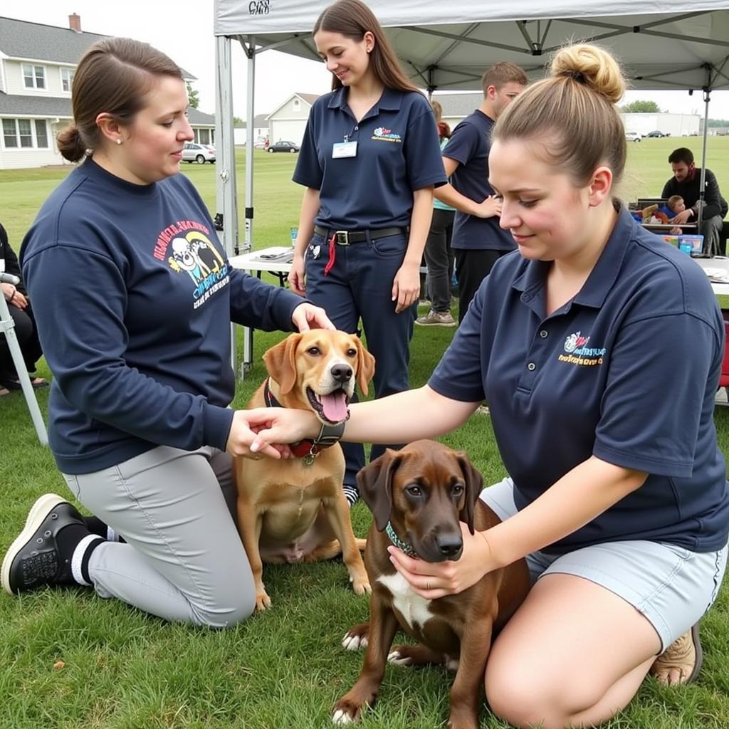 Humane Society Northwest Iowa Community Engagement