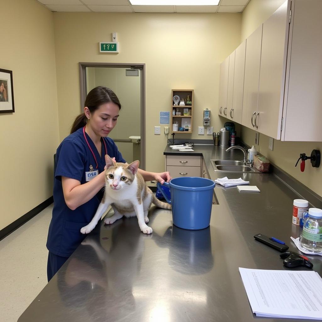 Humane Society Ojai CA Spay/Neuter Clinic