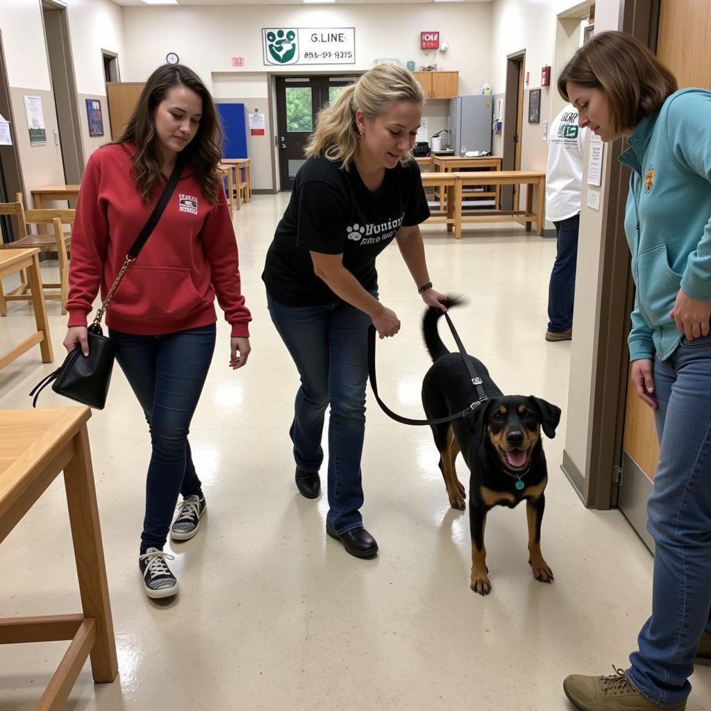 Humane Society of Saline County Volunteers