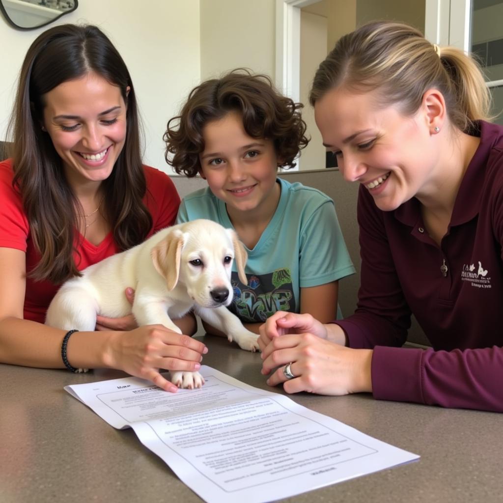 Humane Society Sanford FL Adoption