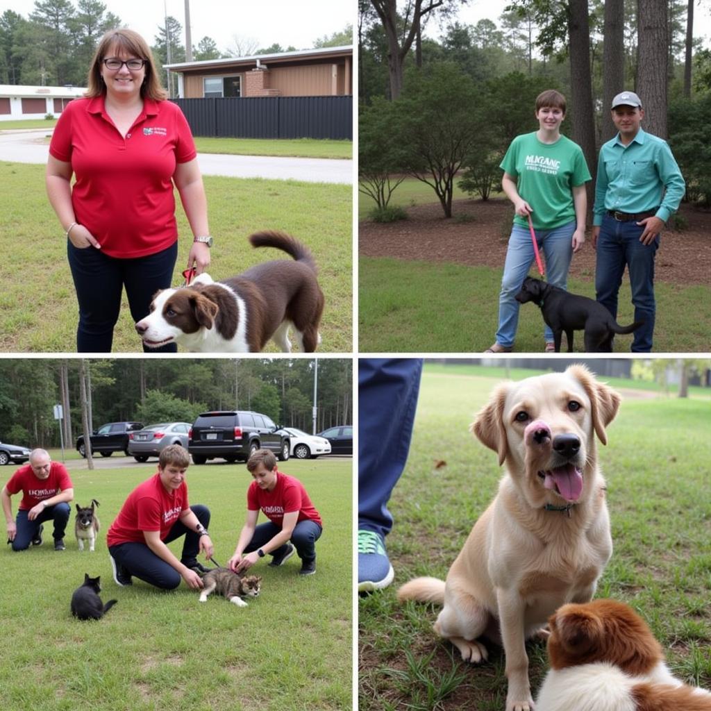 Volunteers at Humane Society Sanford FL