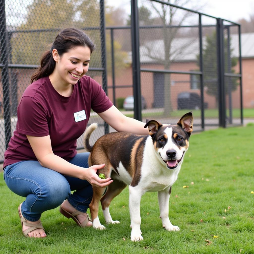 Volunteering at the Humane Society of Santa Maria, California