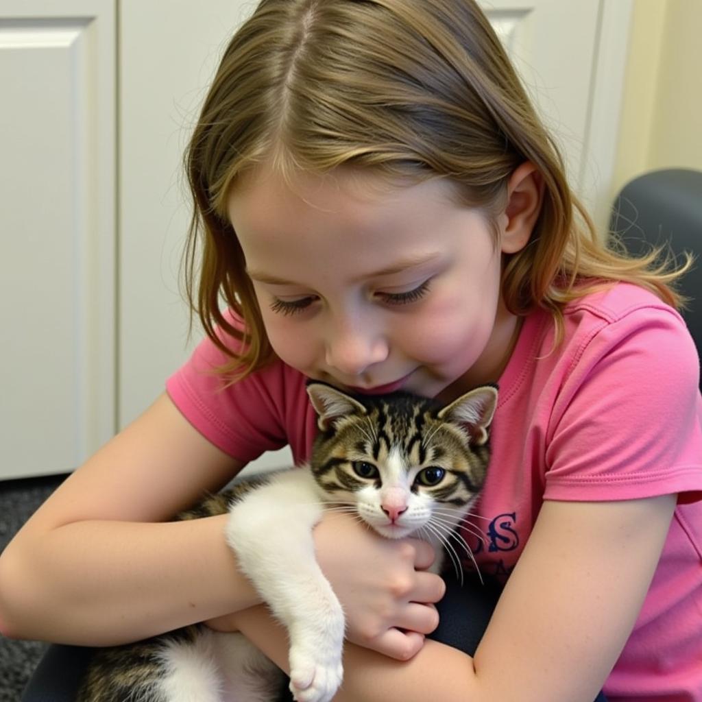 Cat adoption at HSSC