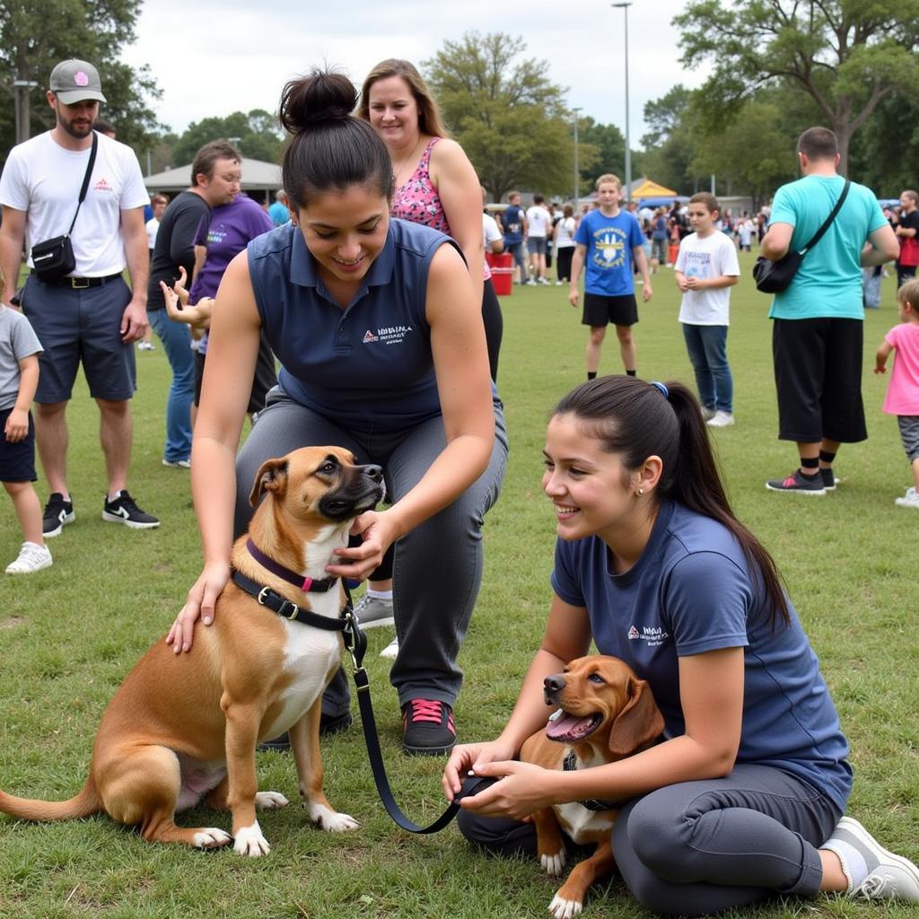 Humane Society South Brevard Adoption Event