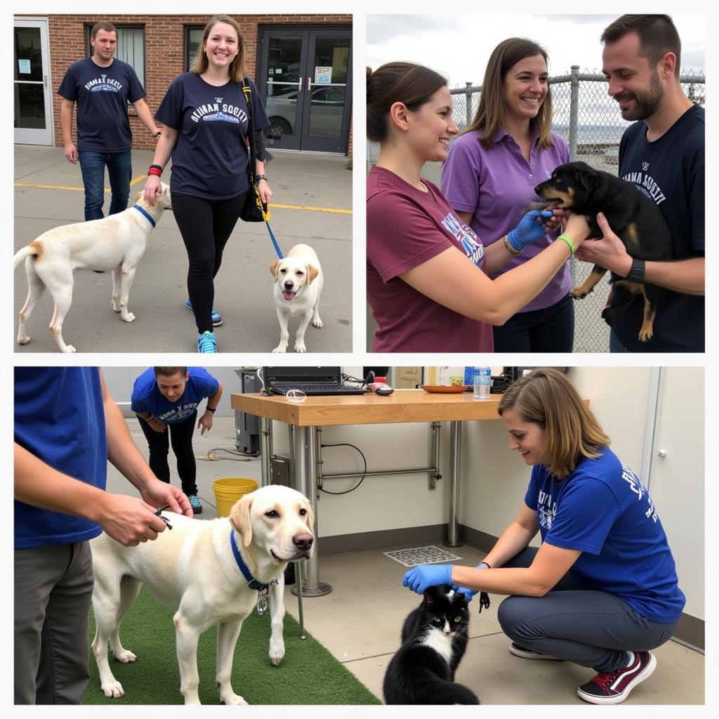 Volunteering at Humane Society Twin Falls