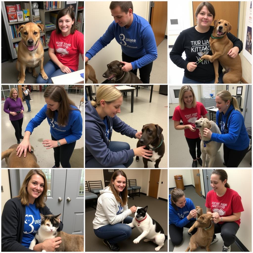 Volunteers Interacting with Animals at the Humane Society of Wilkes