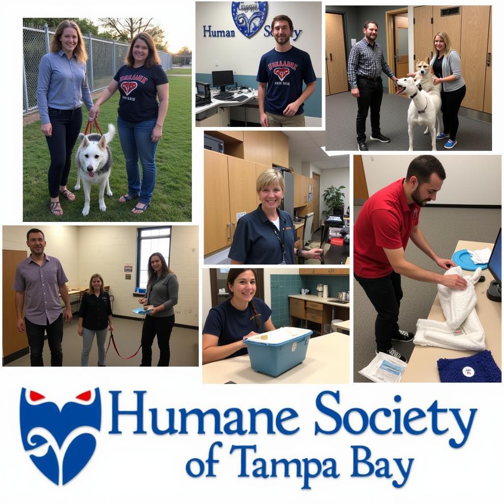 Volunteering at Humane Society Zephyrhills FL