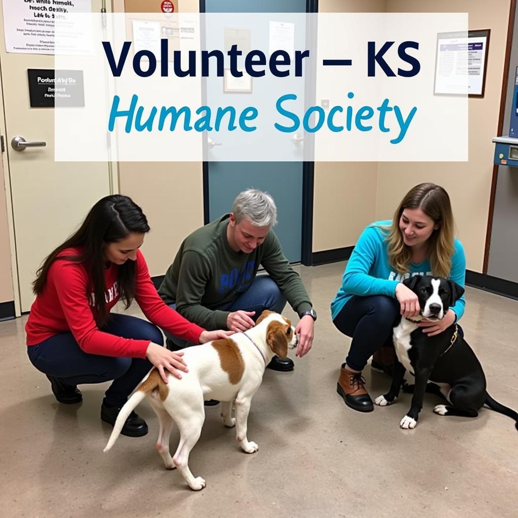 Hutchinson KS Humane Society Volunteer Program