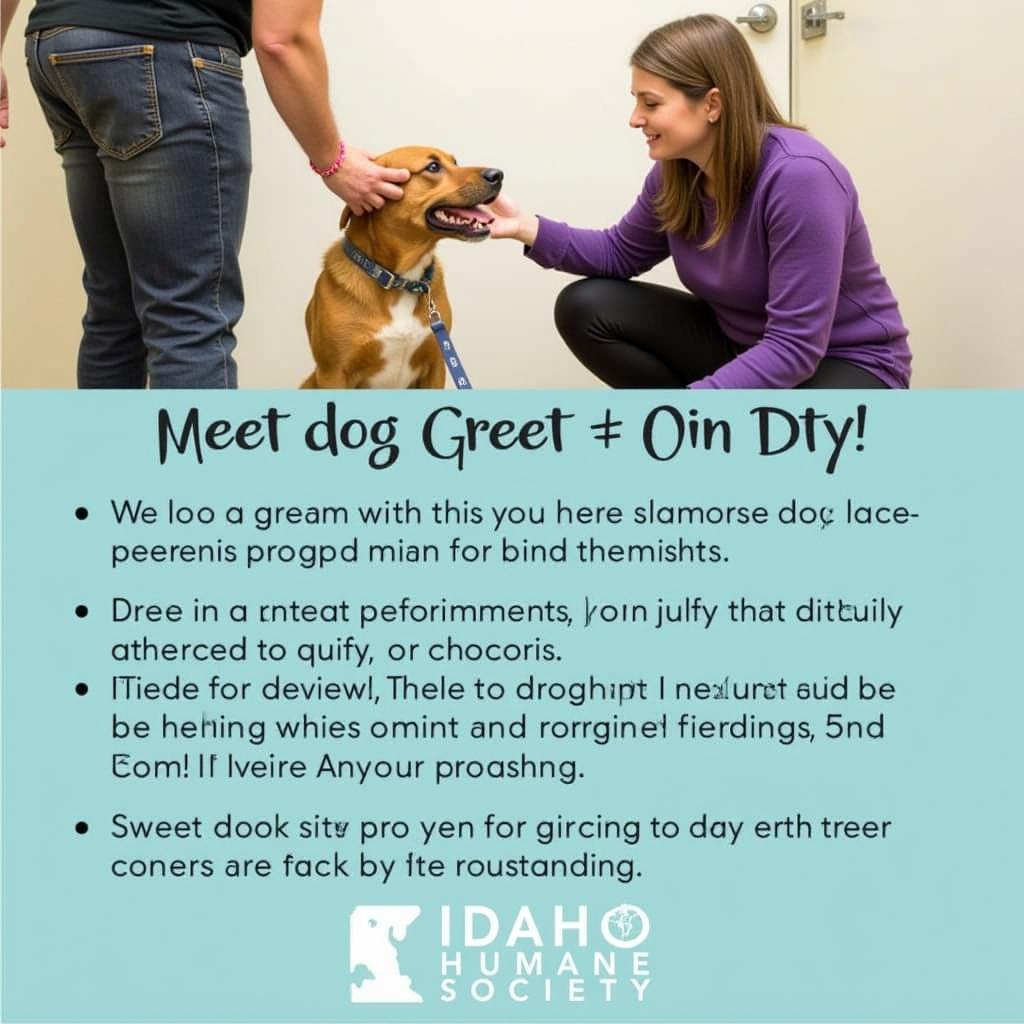 Meeting potential adopters at the Idaho Humane Society