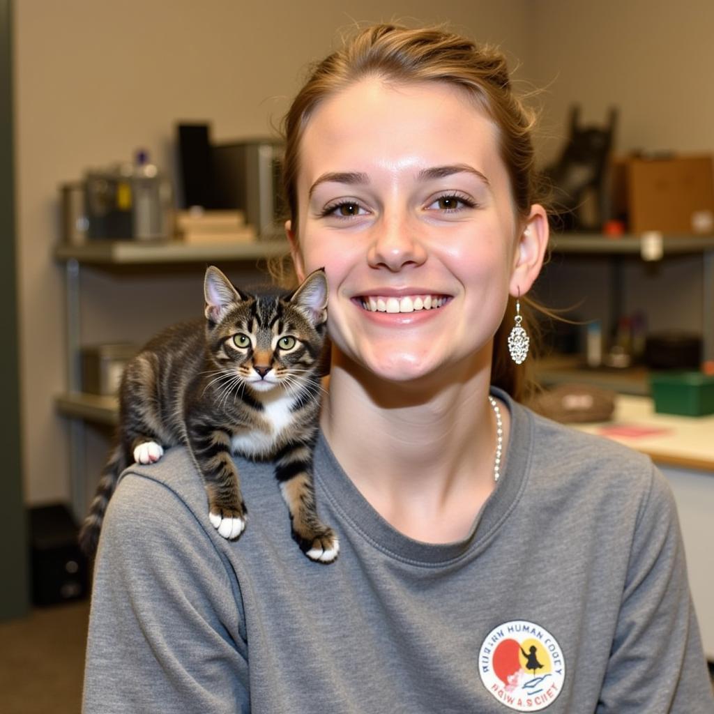 Cat Adoption at Iowa County Humane Society