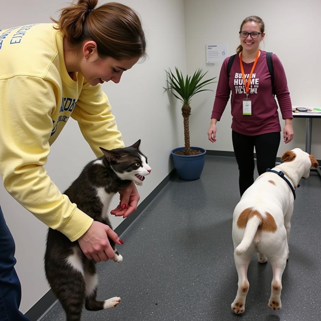 James Brennan Humane Society Volunteers Caring for Animals