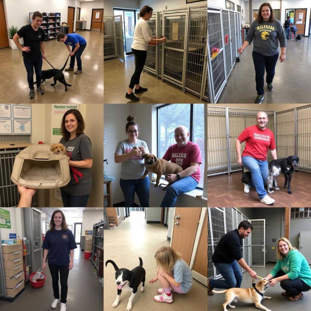 Volunteers Caring for Animals at Johnstown Humane Society