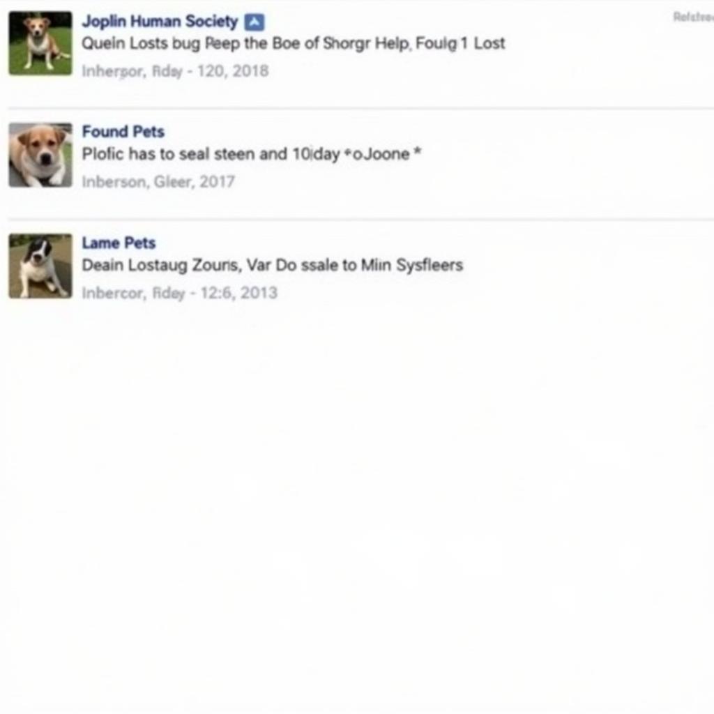 Lost and Found Pets on Joplin Humane Society Facebook