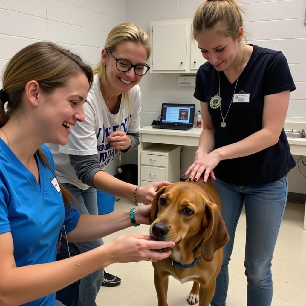 Kershaw County Humane Society volunteers interacting with animals: Volunteers providing care and affection to shelter animals.