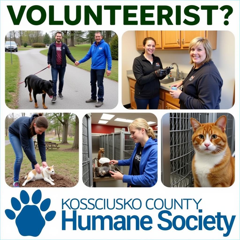 Kosciusko County Humane Society Volunteers in Action