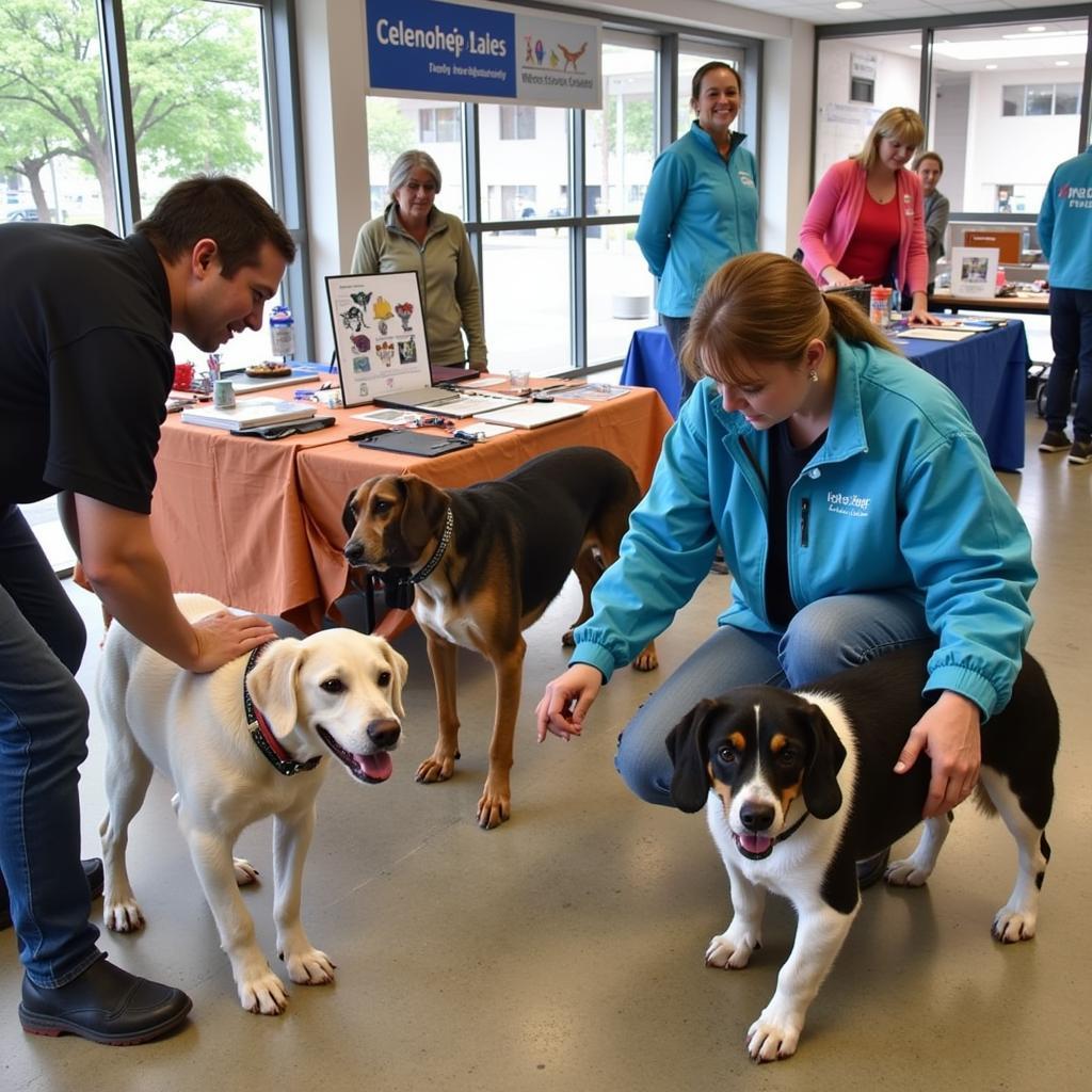 Lake County FL Humane Society Community Impact