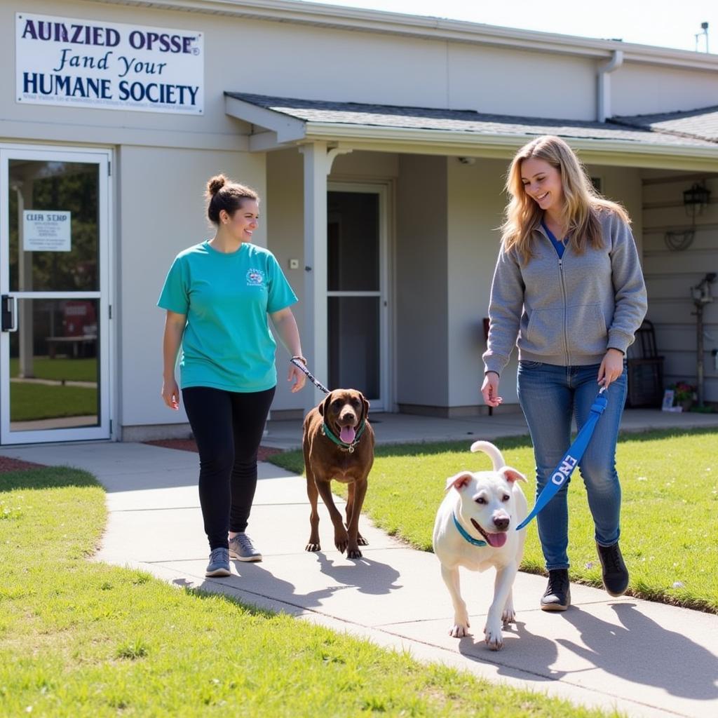 Volunteer Walking a Dog at the Lawrence County Humane Society