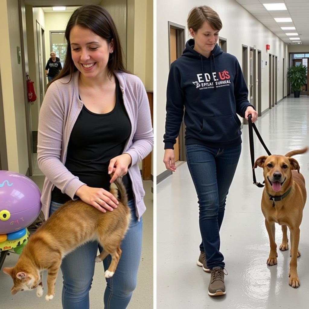 Liverpool Humane Society Volunteers