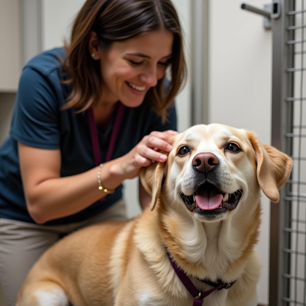 London Humane Society Volunteer Interacting with a Dog