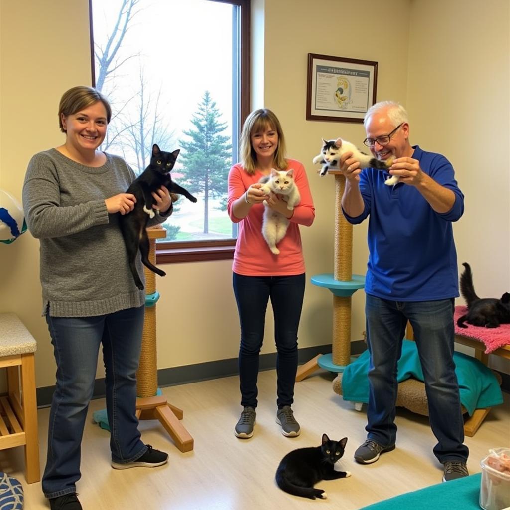 LTBHS Humane Society Volunteer Program: Volunteers interact with cats at the shelter.